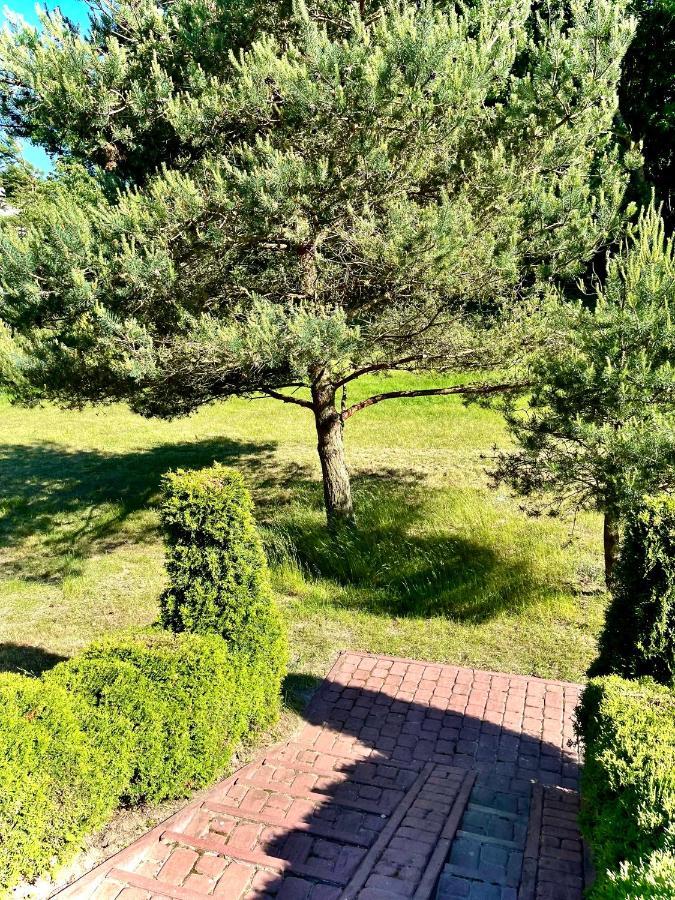 Domki Debina Villa Debina  Buitenkant foto